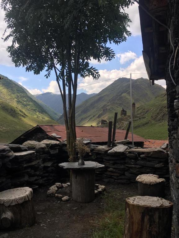 Shio's Stonehouse in Tusheti room 2